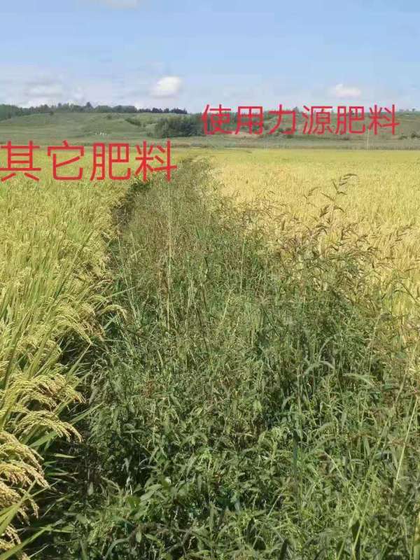 &#112;&#112;&#30005;&#23376;&#40;&#20013;&#22269;&#21306;&#41;&#23448;&#26041;&#32593;&#31449;